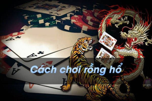 Hướng Dẫn Cá Cược Online Game Rồng Hổ 8DAY