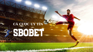 Lý do vì sao nên chọn SBOBET 8DAY để chơi cá cược thể thao